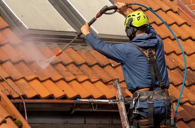 Démoussage et hydrofuge de toiture à Vaudevant